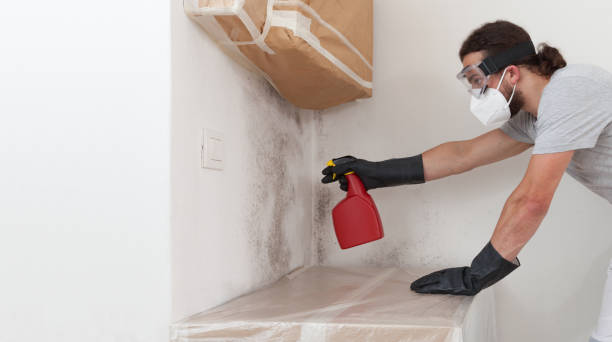 Professional Bathroom Mold Removal technician working in Holbrook, NY